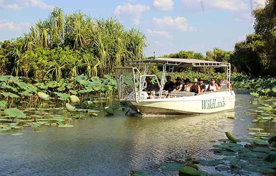 wetlands-discovery-by-airboat-cruise-safaris-5