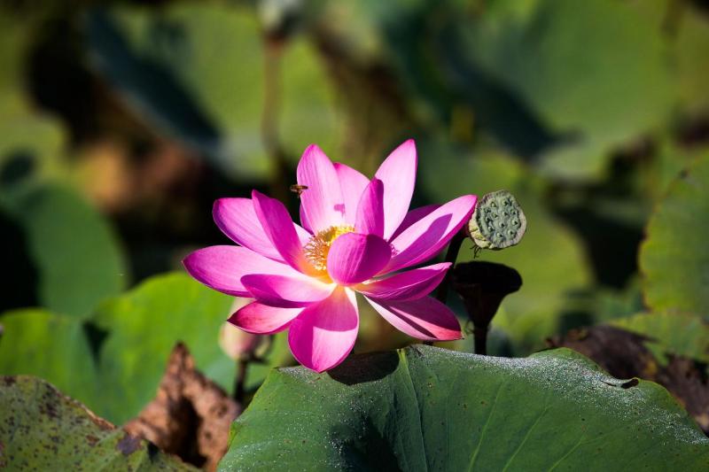 true-territory-tour-2