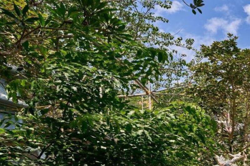 full-day-marble-mountains-hoi-an-ancient-town-4