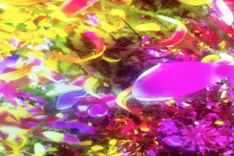 tokyo-skytree-combo-ticket-4