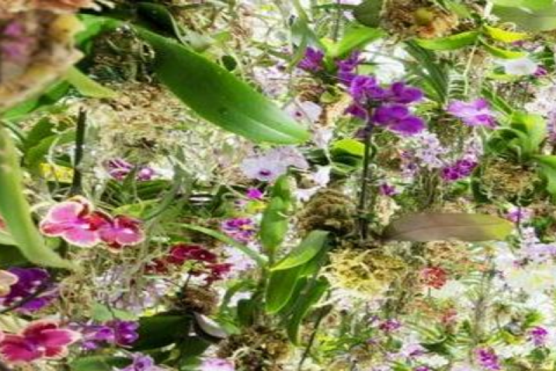 tokyo-skytree-combo-ticket-6