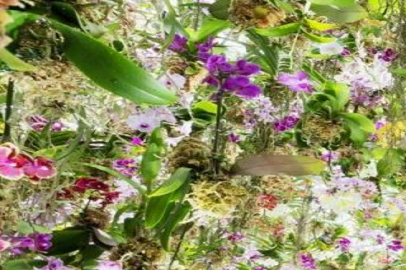 teamlab-planets-tokyo-dmm-admission-ticket-1