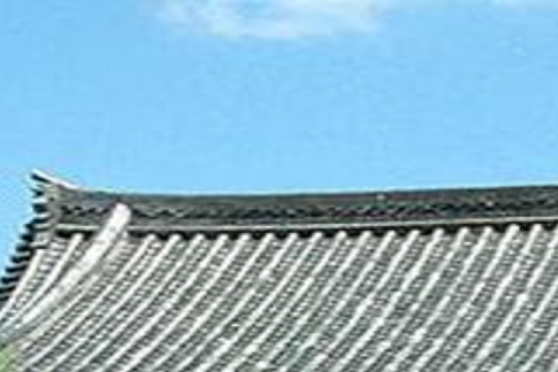 panoramic-tokyo-1-day-bus-tour-with-bay-cruise-bu-4