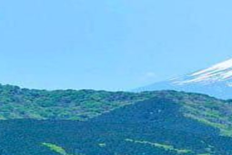 mt-fuji-and-hakone-1-day-bus-tour-bus-tour-1