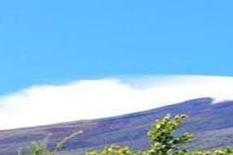 mt-fuji-and-hakone-1-day-bus-tour-bus-tour-2