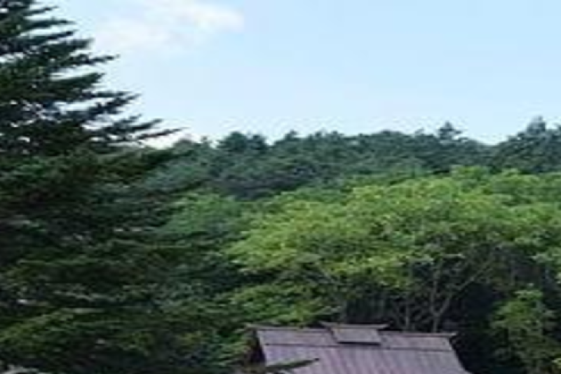 mt-fuji-and-hakone-1-day-bus-tour-bus-tour-3