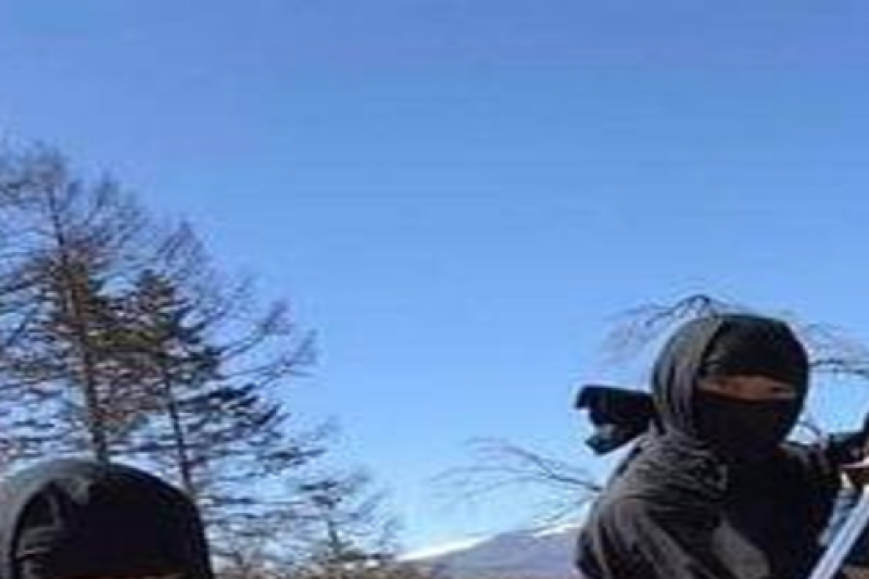 mt-fuji-and-hakone-1-day-bus-tour-bus-tour-5