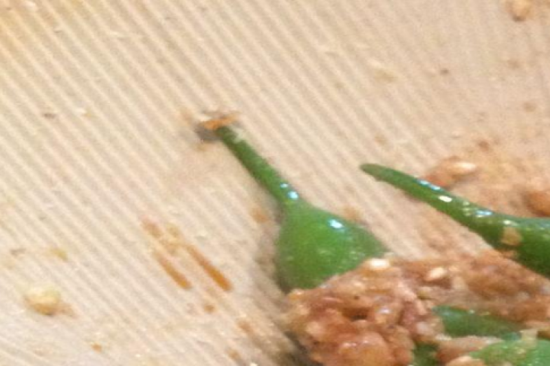 washoku-cooking-class-small-group-tour-2