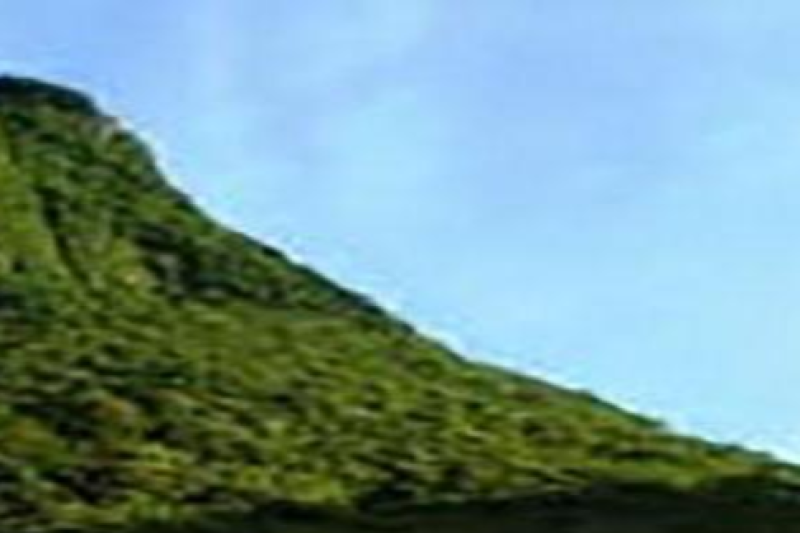 hakone-day-tour-with-lake-ashi-cruise-and-ohwakuda-1