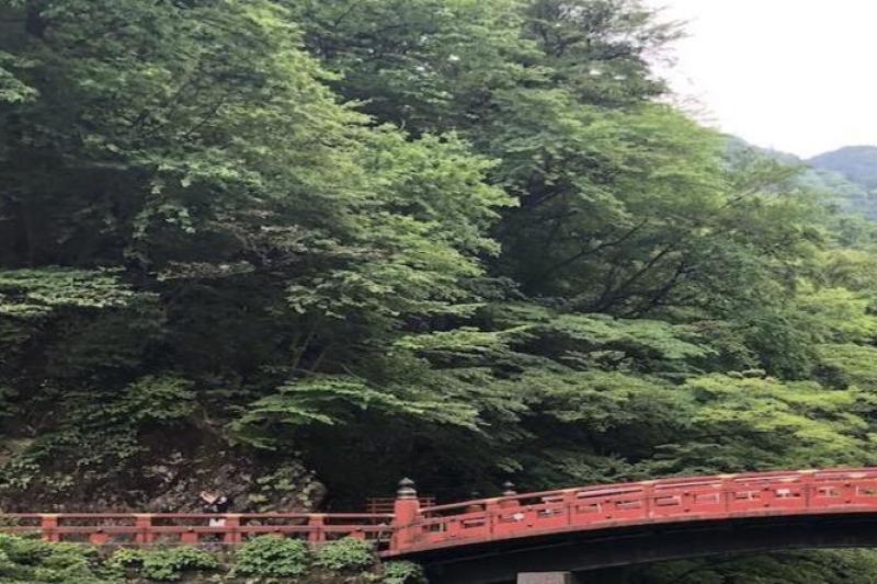 tokyo-to-nikko-cultural-escape-day-bus-tour-2