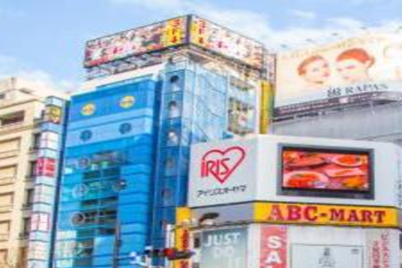 highlights-secrets-of-tokyo-with-english-speakin-3