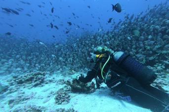 Shipwreck Scuba Dive Bali