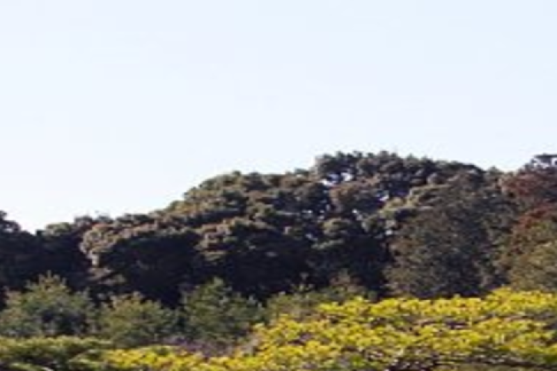 kyoto-half-day-tour-kinkaku-ji-ginkaku-ji-kiyo-2