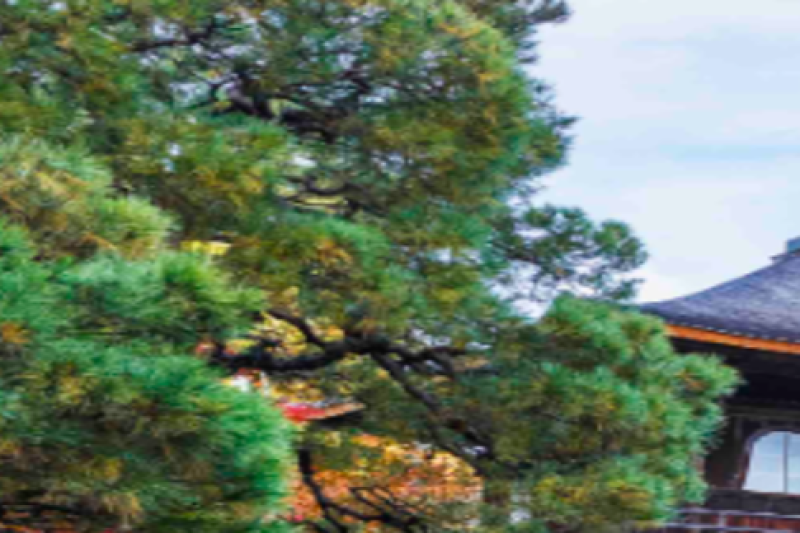kyoto-half-day-tour-kinkaku-ji-ginkaku-ji-kiyo-3