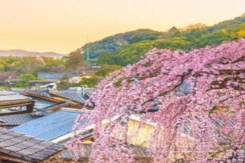 private-kyoto-geisha-districts-walking-tour-4