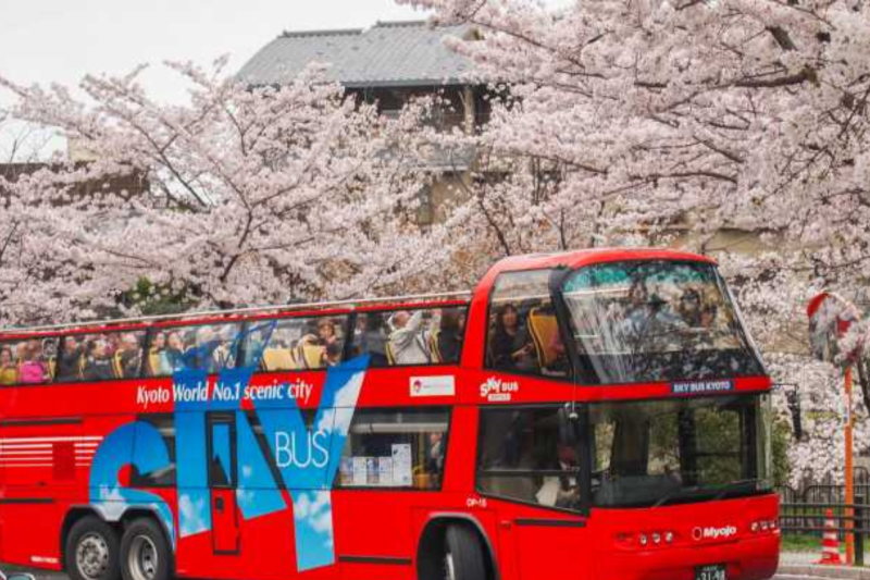 1-day-kyoto-highlights-bus-tour-1