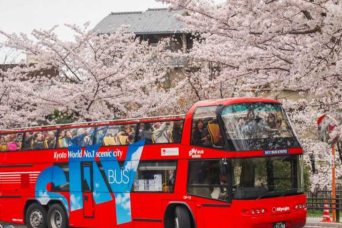 1 Day Kyoto Highlights (Bus Tour)
