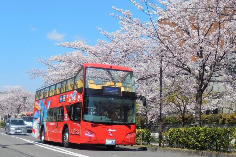 1-day-kyoto-highlights-bus-tour-3