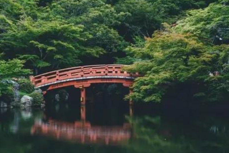 1-day-kyoto-highlights-bus-tour-6
