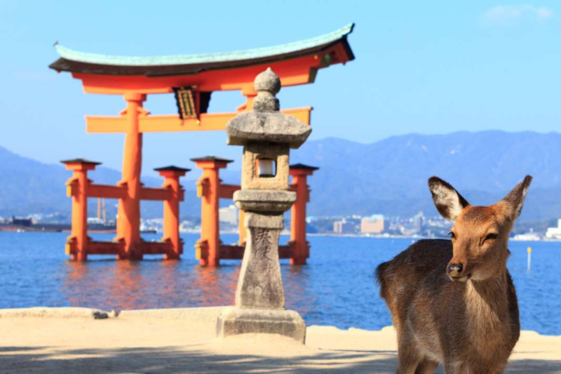 hiroshima-and-miyajima-1-day-bus-tour-2