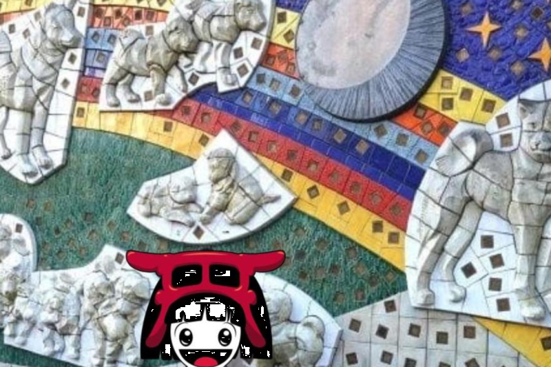 best-of-shibuya-evening-food-tour-sic-5