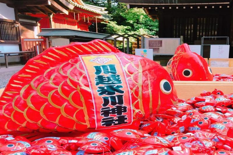 seibu-kawagoe-pass-5