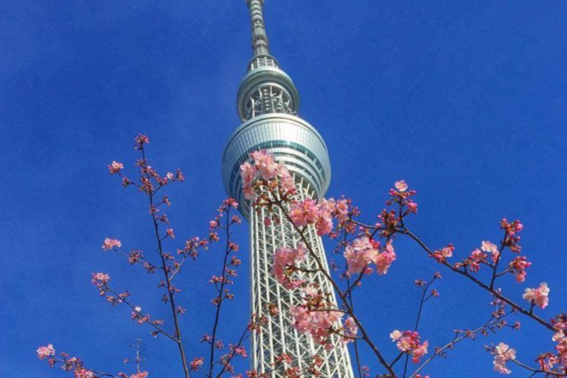tokyo-skytree-combo-ticket-tembo-galleria-tembo-7