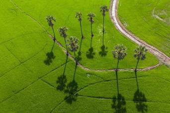 Full Day Rural Cycling Countryside