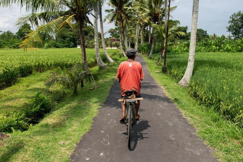 full-day-rural-cycling-countryside-3