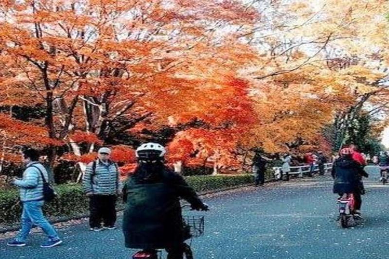 tokyo-cycling-tour-by-electric-powered-bike-2