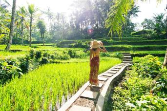 Full Day Rural Bali Life Scene