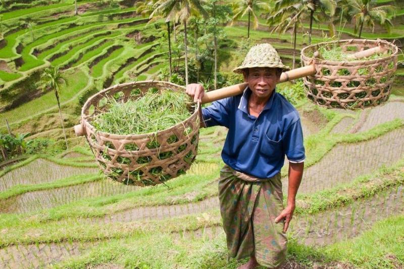 full-day-rural-bali-life-scene-3