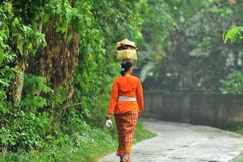 Full day Refine Define-ABalinese Culture