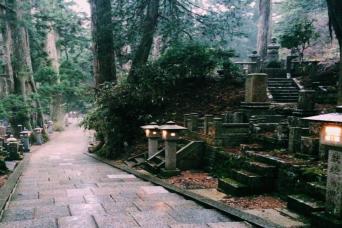 Full Day Mt. Koya Sacred Tour with English Guide