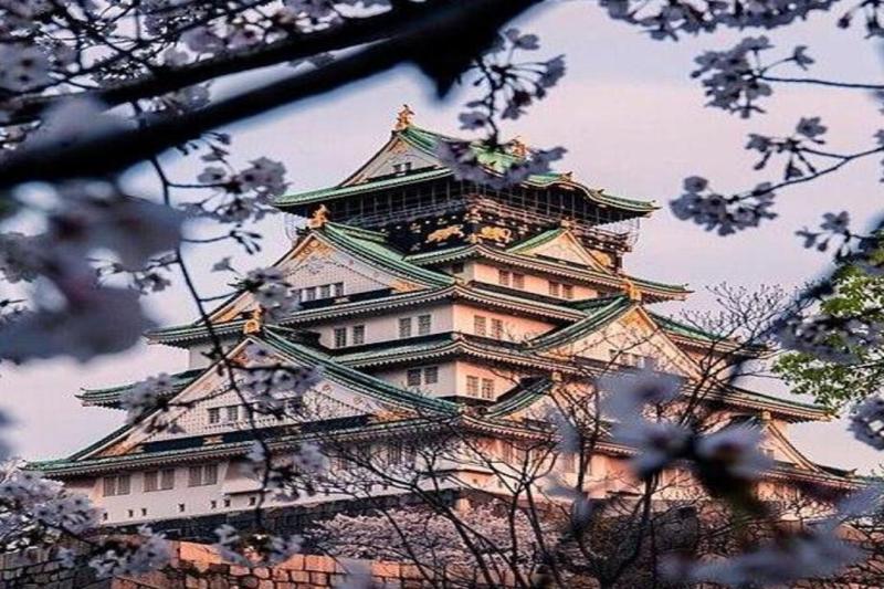 full-day-osaka-day-tour-with-english-speaking-guid-1