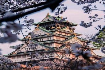 Full Day Osaka Day Tour with English Speaking Guid