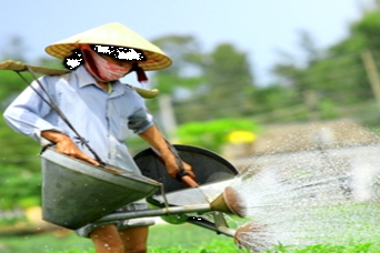 Half Day Tra Que Village Tour - Private