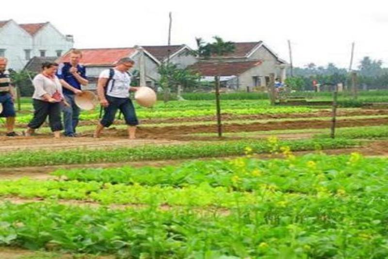 half-day-tra-que-village-tour-private-2