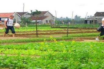 Half Day Cooking Class at Tra Que Village-Private