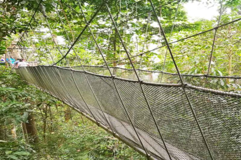 kinabalu-park-with-desa-farm-and-poring-hotspring-1