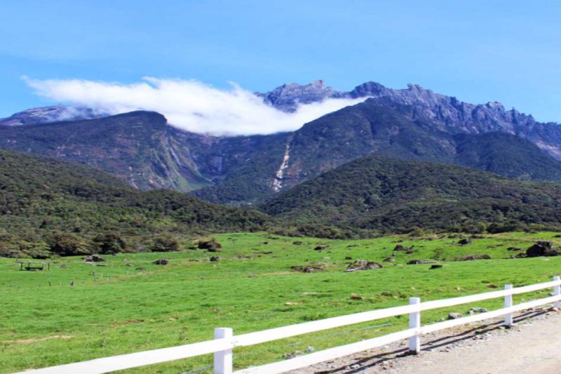 kinabalu-park-with-desa-farm-and-poring-hotspring-2