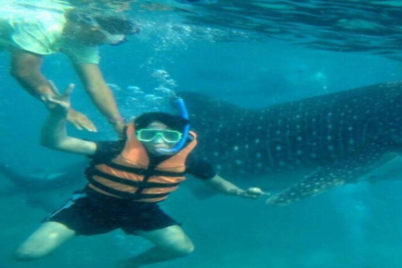 oslob-whale-shark-swimming-tumalog-falls-1