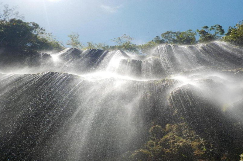 oslob-whale-shark-swimming-tumalog-falls-4