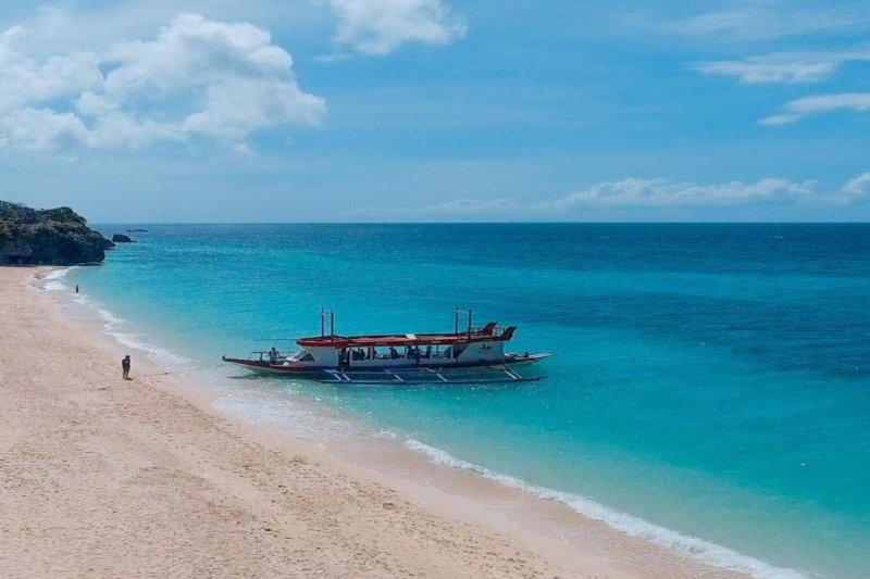 moalboal-island-tour-sardine-run-4