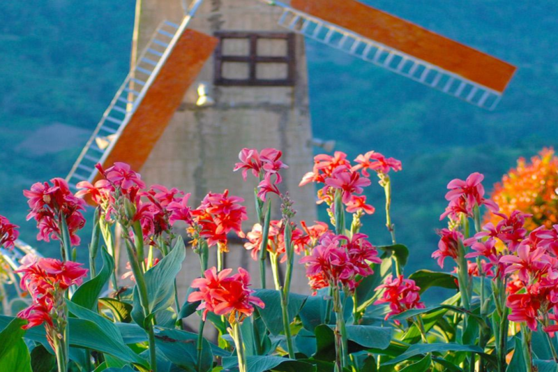 cebu-mountain-tour-4