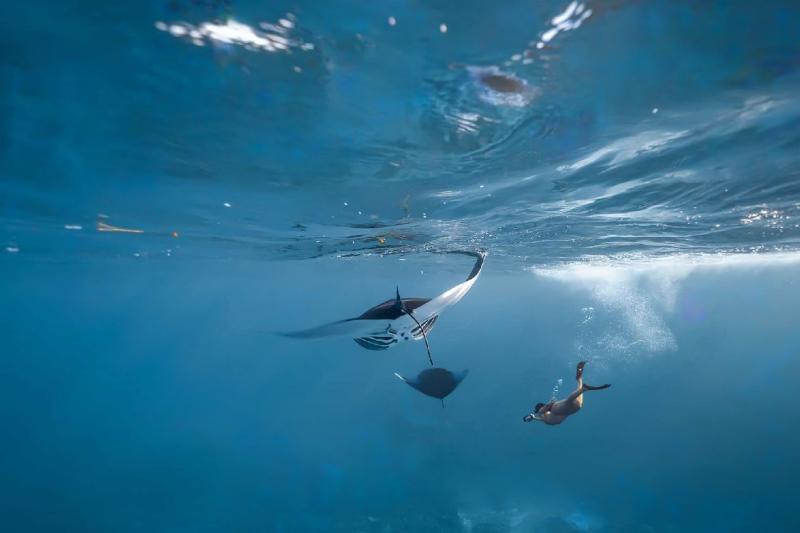 snorkeling-experience-with-manta-rays-at-nusa-peni-2