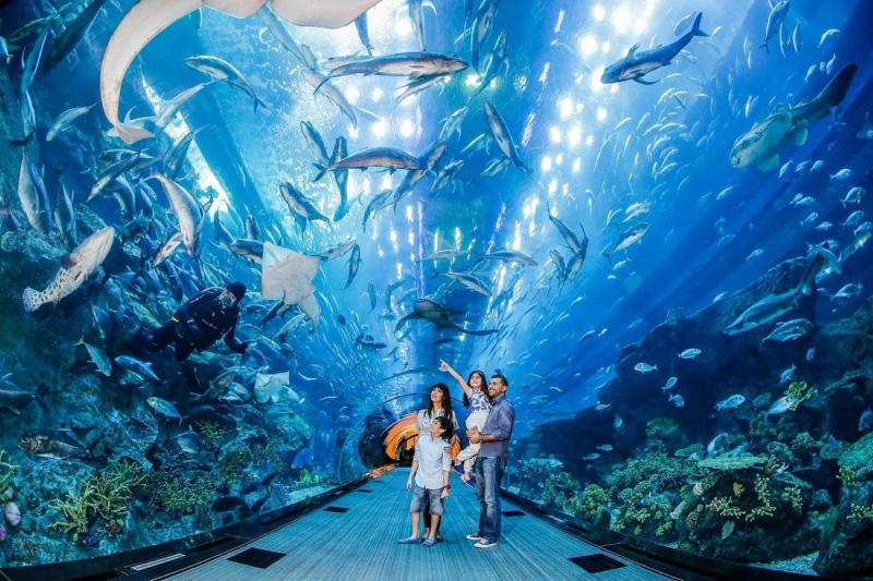dubai-aquarium-underwater-zoo-1