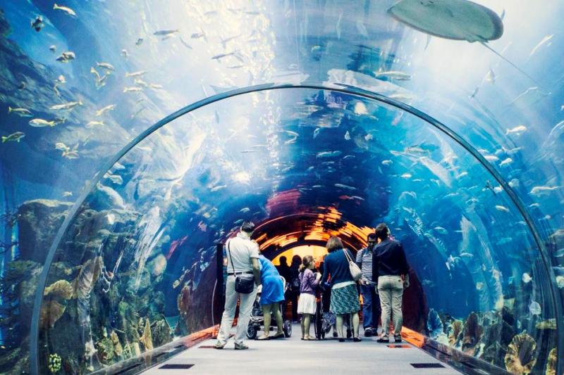 dubai-aquarium-underwater-zoo-2
