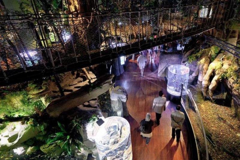 dubai-aquarium-underwater-zoo-3