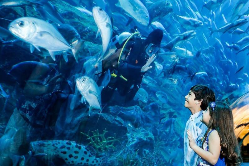 dubai-aquarium-underwater-zoo-5